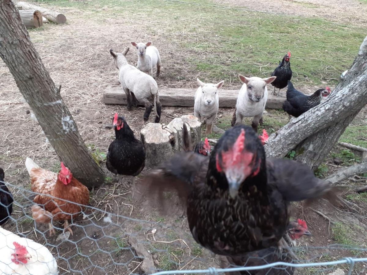 The Byre North End Farm Bed and Breakfast Ashton Keynes Buitenkant foto